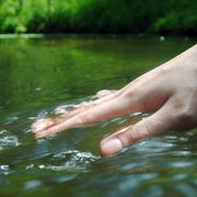 Hand im Fließgewässer