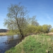 Wümmeniederung bei Ahausen