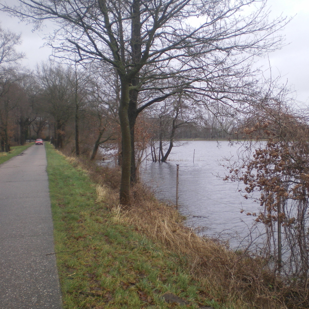 Schutzdeich bei Bucksande