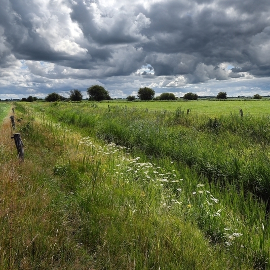 Blick in eine grüne Landschaft, durch die ein trockengefallenes Gewässer fließt. Der Himmel hängt voller Wolken.