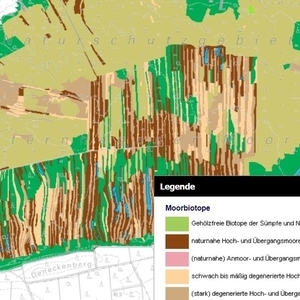 Darstellung der Moorbiotope im MoorIS mit eingeblendeter Legende.