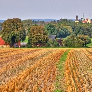 Lechtinger Esch