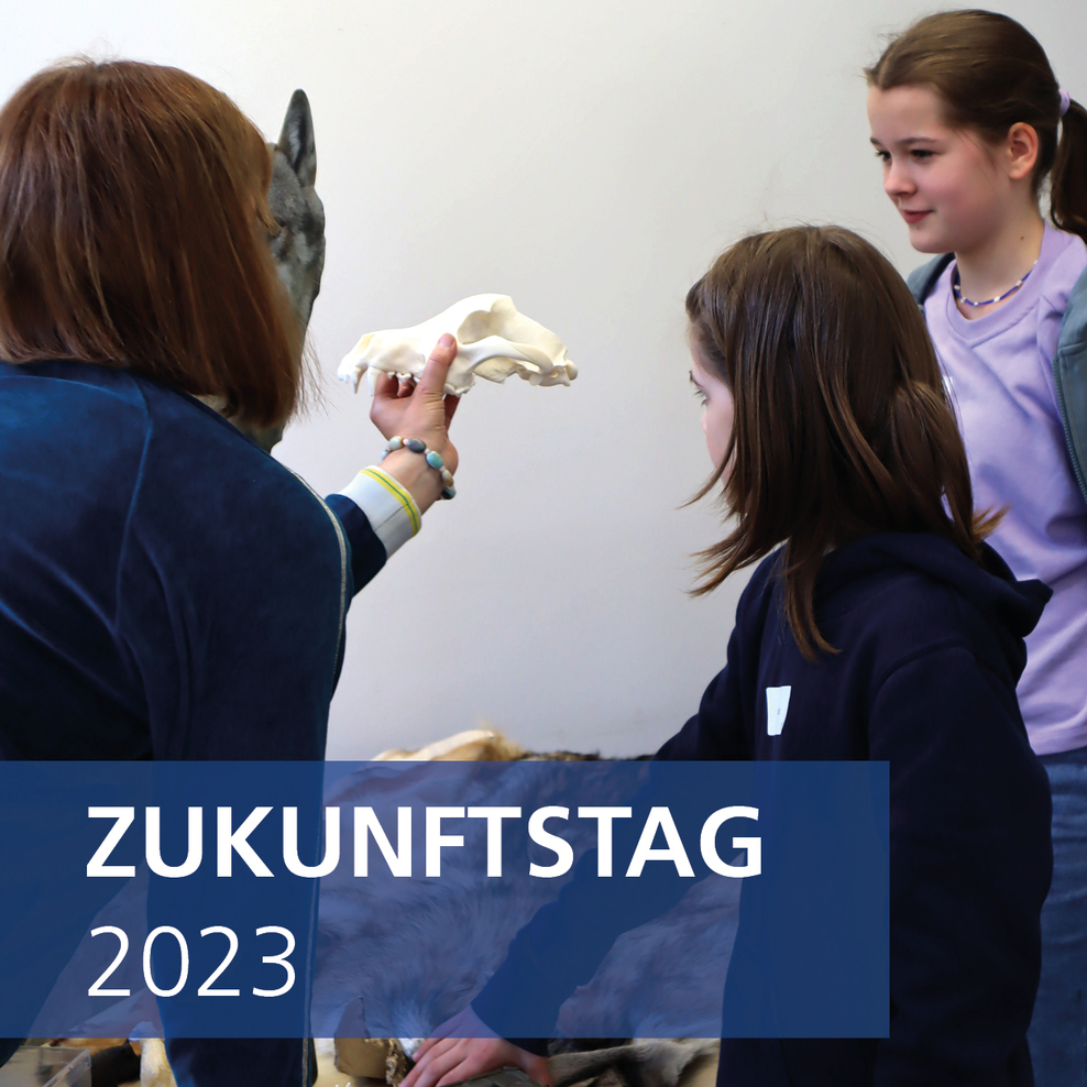 Zukunftstag