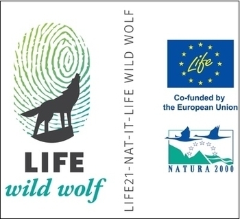 LIFE-Logo