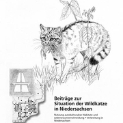 Wildkatze / Autobahn