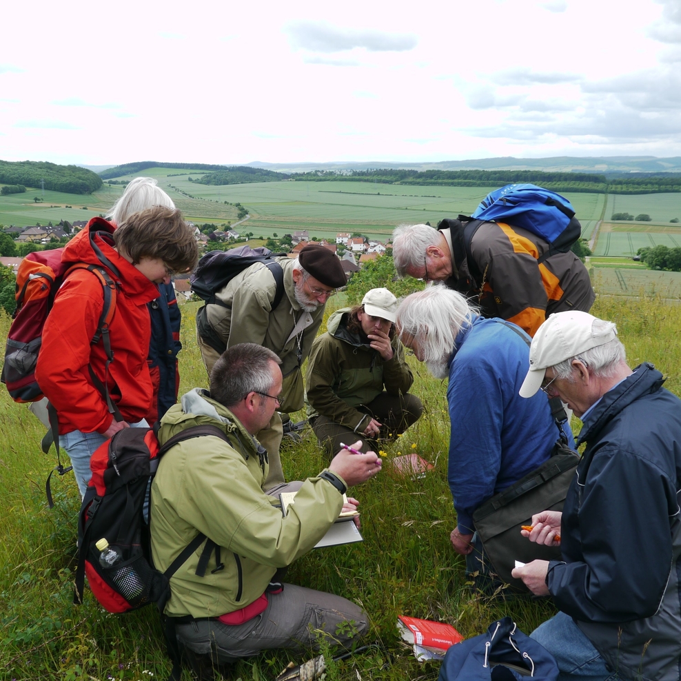 Bei Kartiertreffen wie hier nahe Northeim gehen Melderinnen und Melder regelmäßig gemeinsam auf die Suche und vertiefen ihr Wissen über Tier- und Pflanzenarten (Bild: NLWKN).