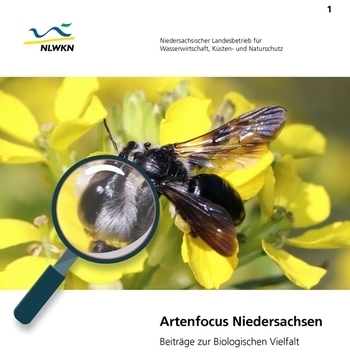 Artenfocus Niedersachsen 1