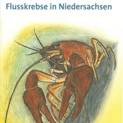 Flusskrebse in Niedersachsen