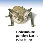 Fledermäuse - geliebte Nachtschwärmer