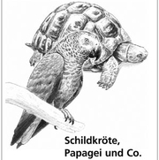 Schildkröte, Papagei und Co.