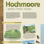 Hochmoore - gestern, heute, morgen