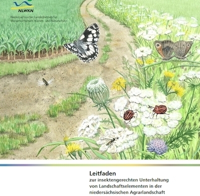 Insektengerechten Unterhaltung von Landschaftselementen in der Agrarlandschaft