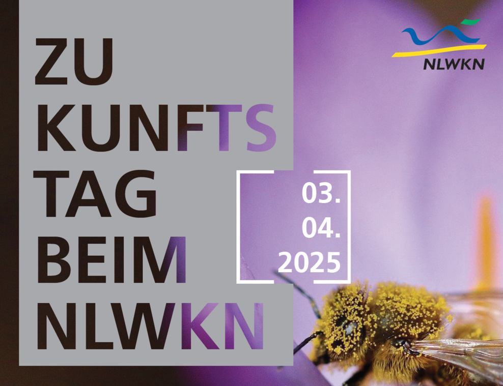 Zukunftstag