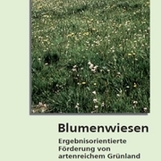 Blumenwiesen