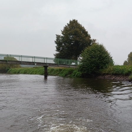 An der Uferböschung oberhalb der Frelsbrücke werden ab dem 14. Juli im Auftrag des NLWKN wichtige Arbeiten vorgenommen, um dort weiterhin für sichere und stabile Deiche für den Hochwasserschutz zu sorgen. (Foto: NLWKN)