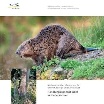 Infodienst 3/25 Titelseite