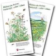 Blühende Raine - natürlich voller Leben