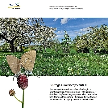 Infodienst 4/25 Titelseite