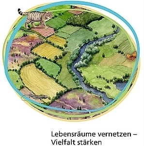 Lebensräume vernetzen – Vielfalt stärken