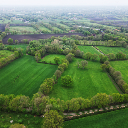 Auf der ostfriesischen Geest prägen wie hier am Upstalsboom in Aurich auch heute noch Wallhecken das Bild. Mit dem Verlust ihrer ursprünglichen Funktionen verschlechterte sich der Erhaltungszustand allerdings vielfach rapide. (Foto: Stöter/NLWKN).