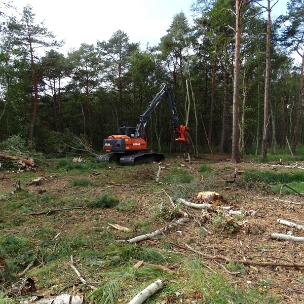 Das letzte Baufenster 2025/2026 wurde im Helstorfer Moor dafür genutzt, die Bautrassen von Gehölz freizustellen und für die kommenden Erdbauarbeiten vorzubereiten.