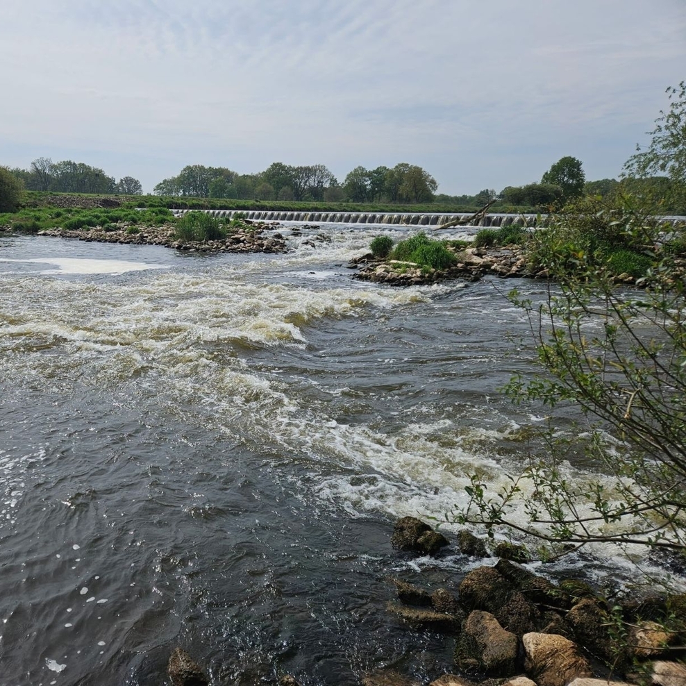 NLWKN, Hochwasserschutz