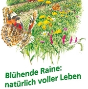 Blühende Raine: natürlich voller Leben