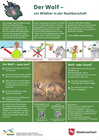 Infoblatt "Der Wolf – ein Wildtier in der Nachbarschaft"