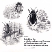 RL Wasserkäfer
