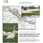 Gastvogelmanagement in der Niedersächsischen Elbtalaue