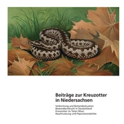 Kreuzotter