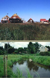 Neubaugebiet / Ausgleichsmaßnahme